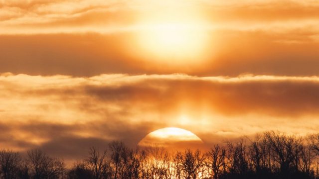 2019. februári számunkból